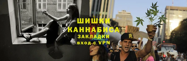гашик Аркадак