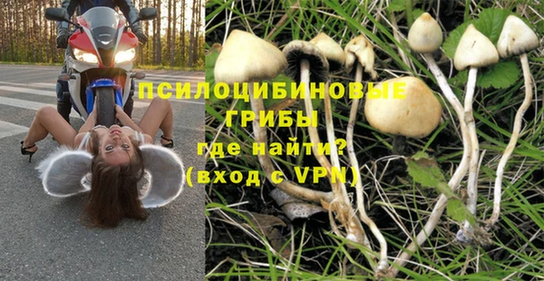 гашик Аркадак