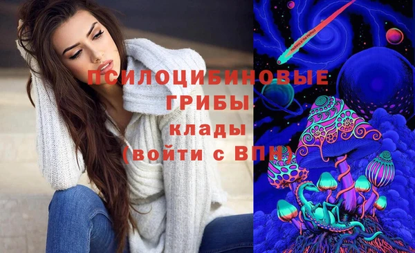 трава Алзамай