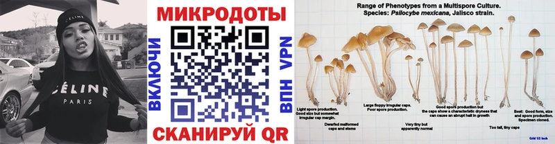 Галлюциногенные грибы ЛСД  blacksprut вход  Верхняя Салда 